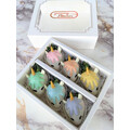 6pcs Pastel Rainbow Unicorn Chocolate Strawberries Gift Box